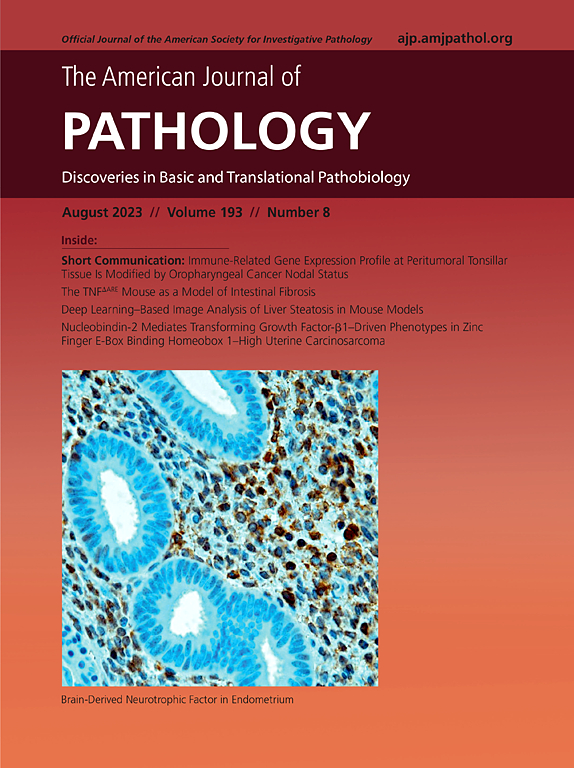 AMERICAN JOURNAL OF PATHOLOGY