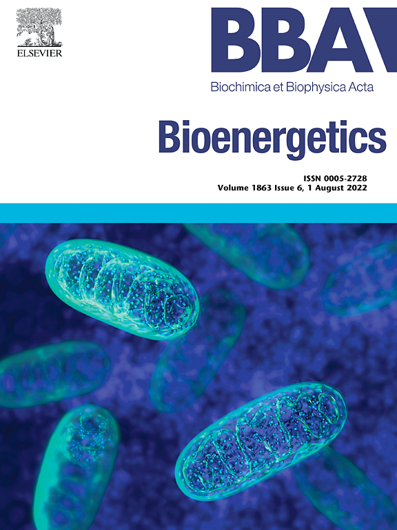 BIOCHIMICA ET BIOPHYSICA ACTA-BIOENERGETICS