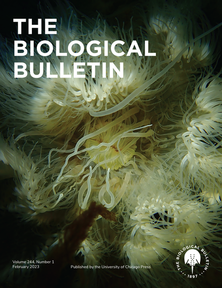 BIOLOGICAL BULLETIN