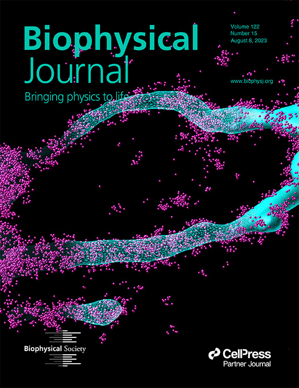 BIOPHYSICAL JOURNAL