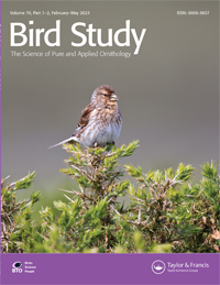 BIRD STUDY