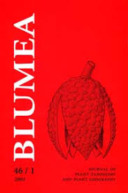 BLUMEA