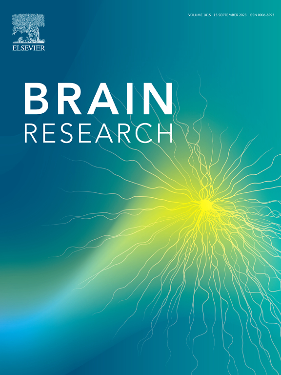 BRAIN RESEARCH