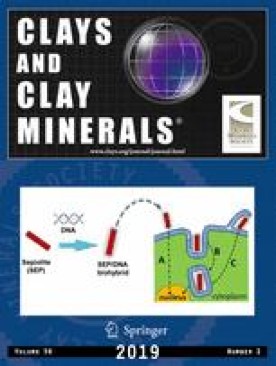 CLAYS AND CLAY MINERALS