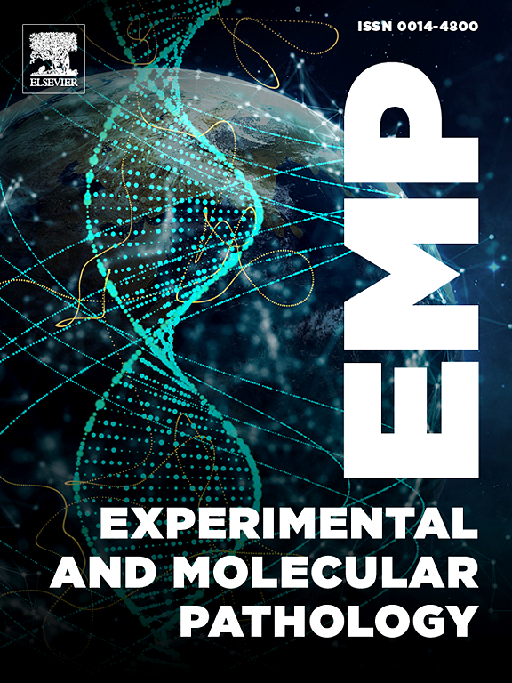 EXPERIMENTAL AND MOLECULAR PATHOLOGY