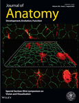 JOURNAL OF ANATOMY