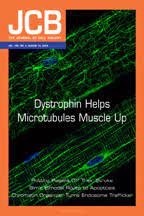 JOURNAL OF CELL BIOLOGY