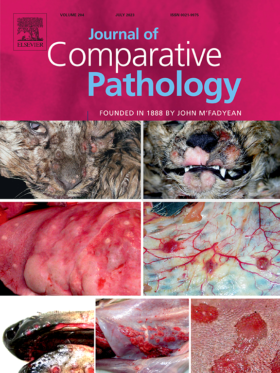 JOURNAL OF COMPARATIVE PATHOLOGY