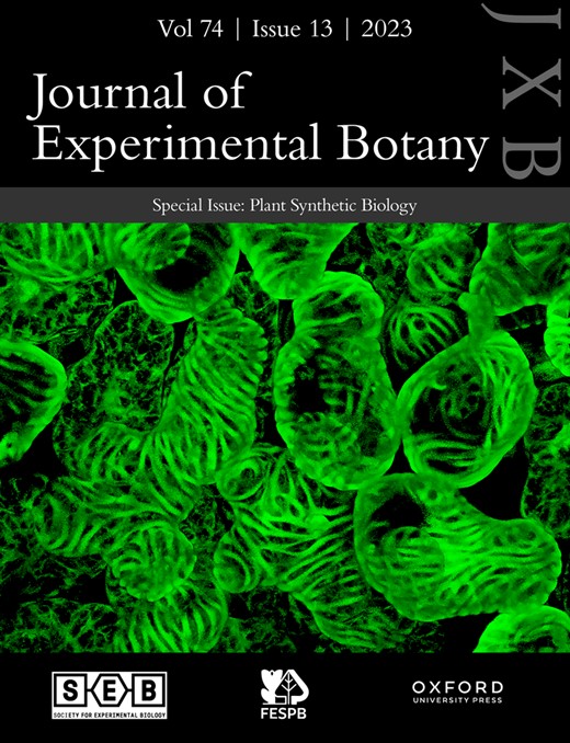 JOURNAL OF EXPERIMENTAL BOTANY