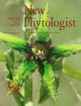 NEW PHYTOLOGIST