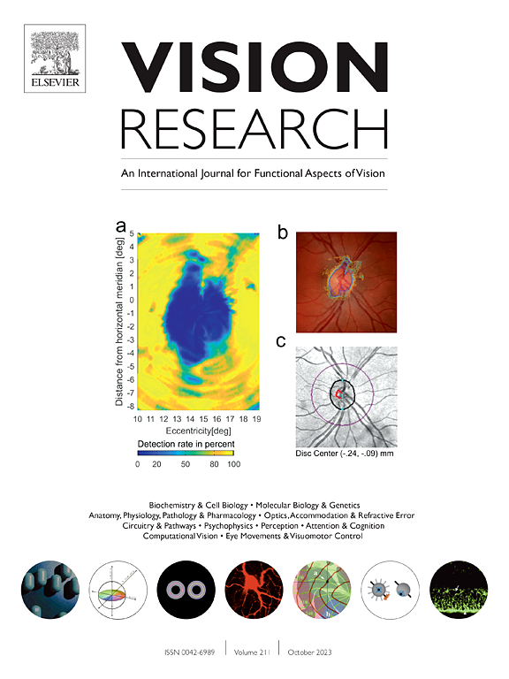 VISION RESEARCH