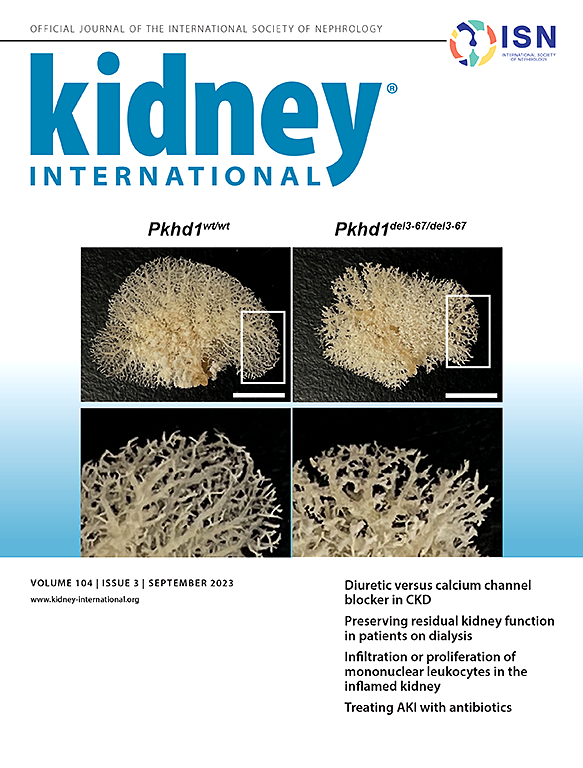 KIDNEY INTERNATIONAL