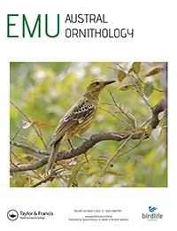 EMU-AUSTRAL ORNITHOLOGY