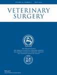 VETERINARY SURGERY