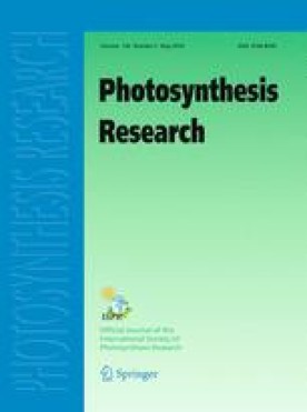 PHOTOSYNTHESIS RESEARCH