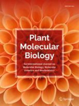PLANT MOLECULAR BIOLOGY