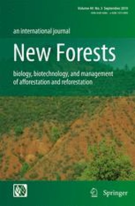 NEW FORESTS