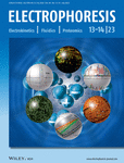 ELECTROPHORESIS