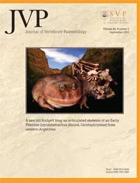 JOURNAL OF VERTEBRATE PALEONTOLOGY