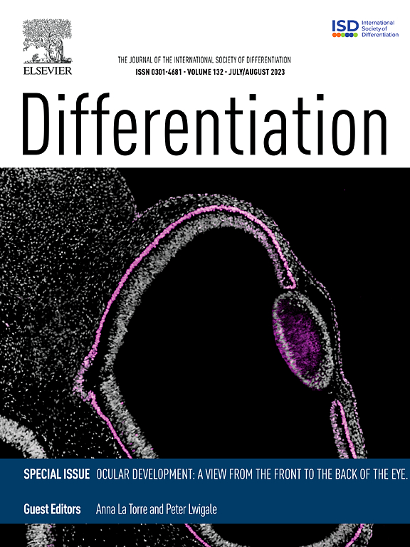 DIFFERENTIATION