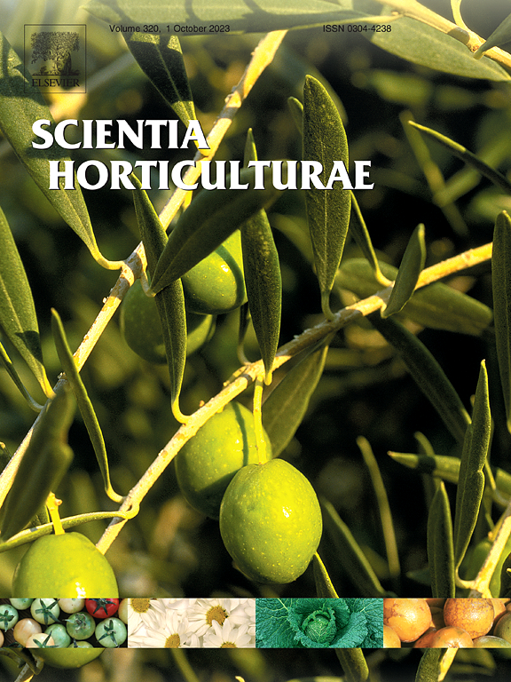 SCIENTIA HORTICULTURAE