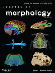 JOURNAL OF MORPHOLOGY