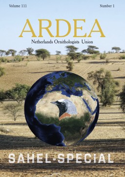 ARDEA