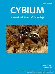 CYBIUM