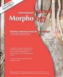INTERNATIONAL JOURNAL OF MORPHOLOGY