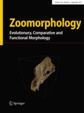 ZOOMORPHOLOGY