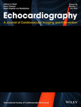 ECHOCARDIOGRAPHY-A JOURNAL OF CARDIOVASCULAR ULTRASOUND AND ALLIED TECHNIQUES
