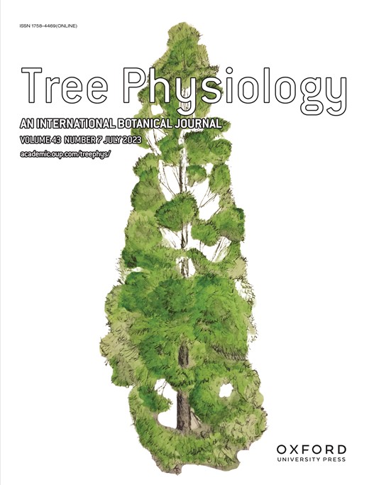 TREE PHYSIOLOGY