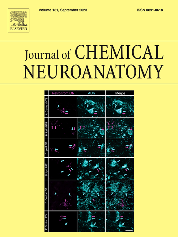 JOURNAL OF CHEMICAL NEUROANATOMY
