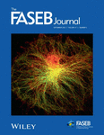 FASEB JOURNAL