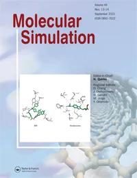 MOLECULAR SIMULATION