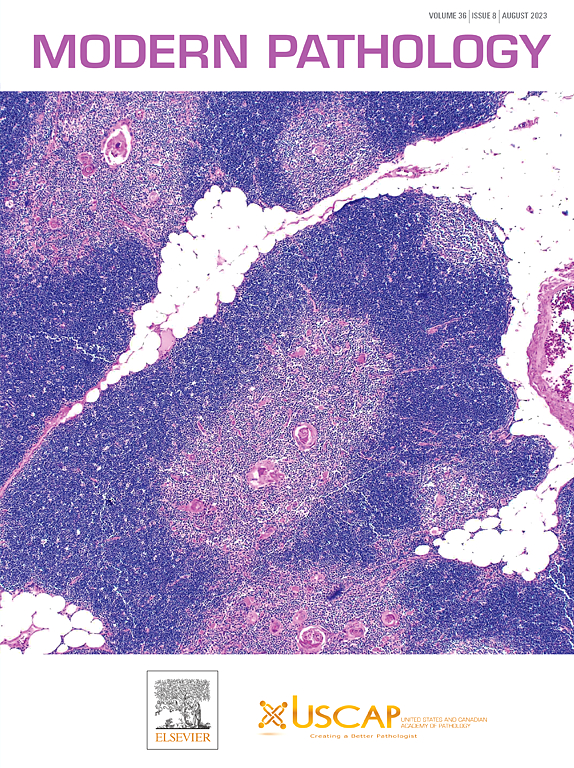 MODERN PATHOLOGY