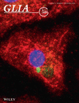GLIA
