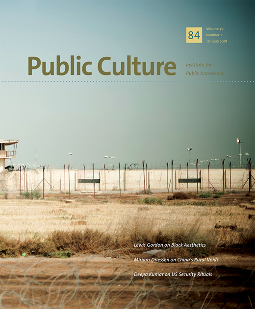 PUBLIC CULTURE