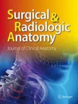 SURGICAL AND RADIOLOGIC ANATOMY