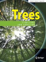 TREES-STRUCTURE AND FUNCTION