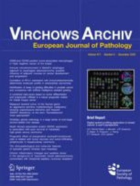 VIRCHOWS ARCHIV