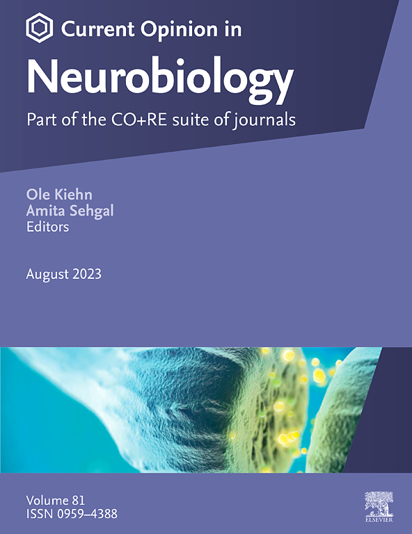 CURRENT OPINION IN NEUROBIOLOGY