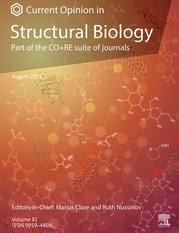 CURRENT OPINION IN STRUCTURAL BIOLOGY