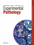 INTERNATIONAL JOURNAL OF EXPERIMENTAL PATHOLOGY