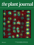 PLANT JOURNAL