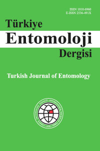 TURKIYE ENTOMOLOJI DERGISI-TURKISH JOURNAL OF ENTOMOLOGY