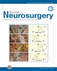 TURKISH NEUROSURGERY