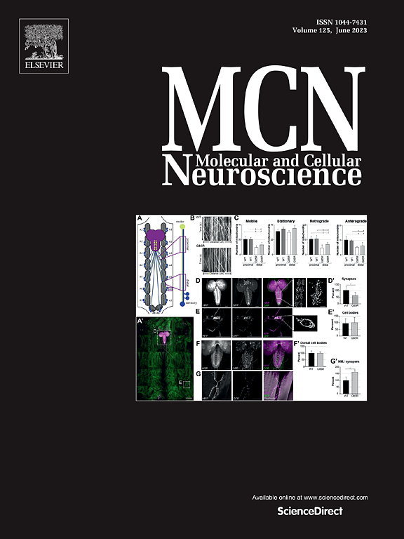 MOLECULAR AND CELLULAR NEUROSCIENCE