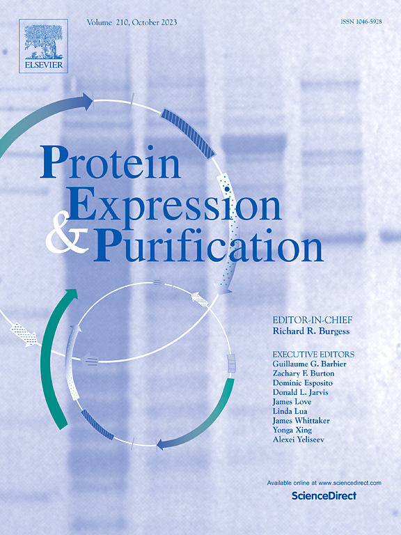 PROTEIN EXPRESSION AND PURIFICATION