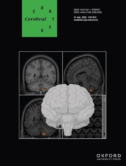 CEREBRAL CORTEX